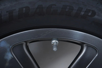 MINI MINI F55 F56 F57 Winter tires Winter wheels 195 55 16 inch