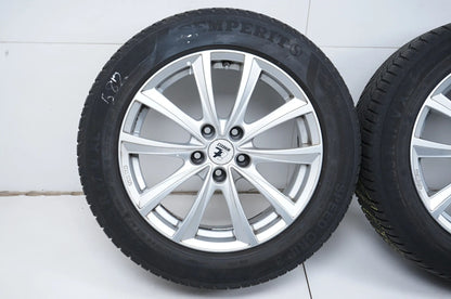 BMW 5 Series G30 G31 Winter Tires Winter Wheels 225 55 17 inch