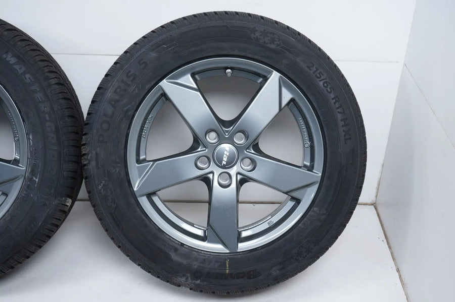 VW Tiguan Audi Q3 8U Winter tires Winter wheels 215 65 17 inch